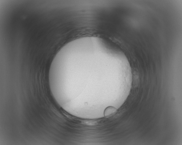 X0000081330654200702082203