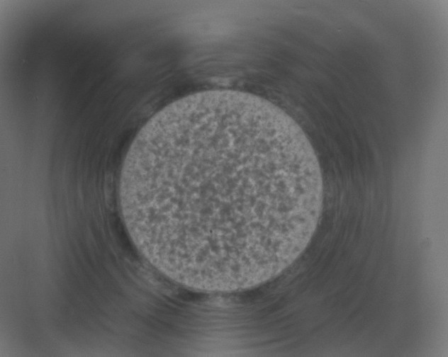 X0000081330656200702082203