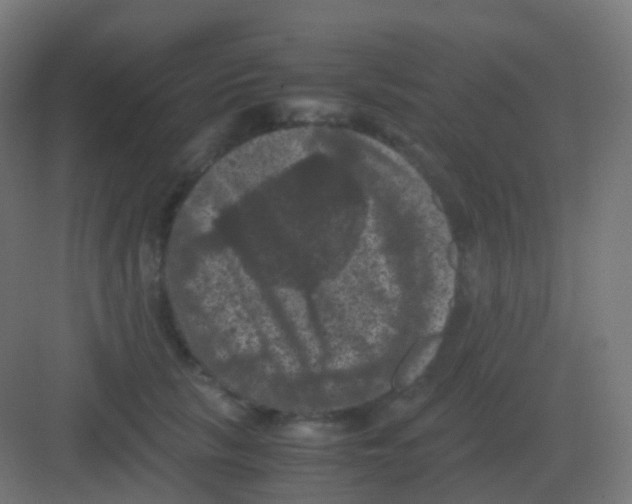 X0000081330657200702082203