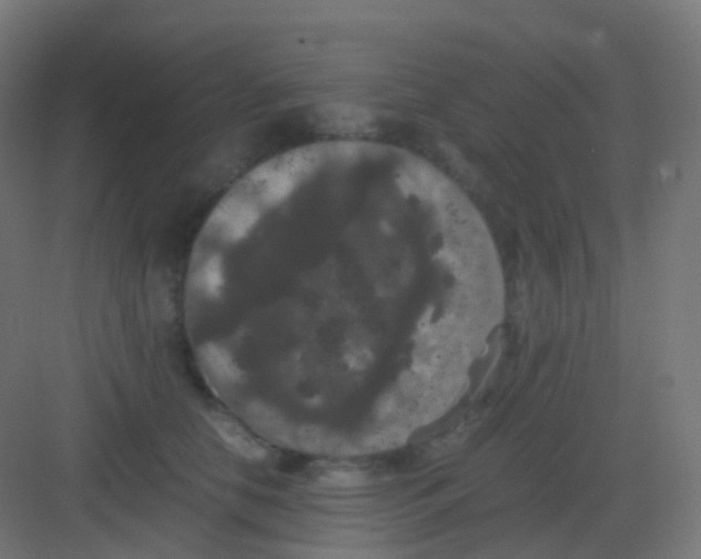 X0000081330658200702082203