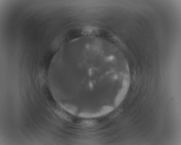 X0000081330659200702082203