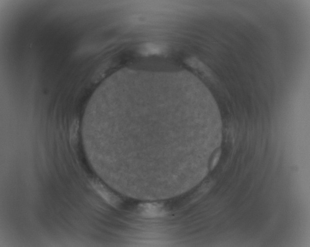 X0000081330660200702082203