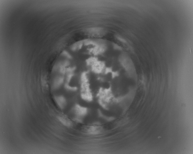 X0000081330663200702082203