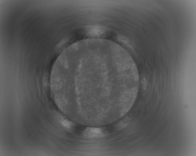 X0000081330665200702082203