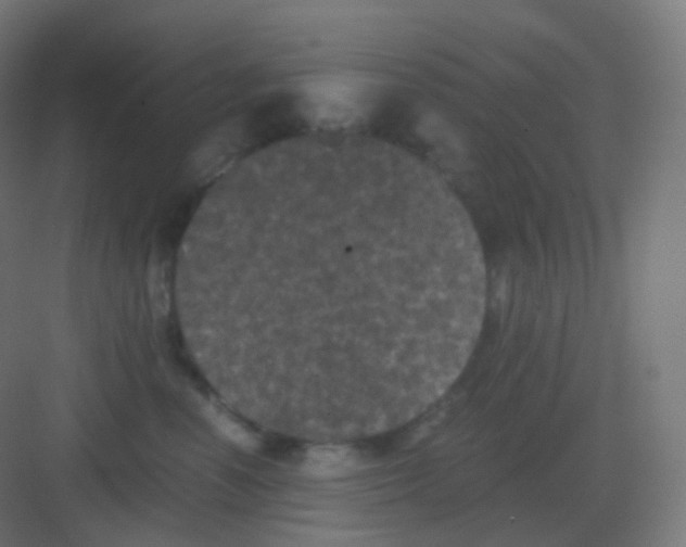 X0000081330666200702082203