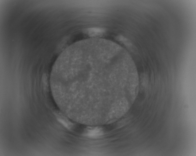 X0000081330667200702082203