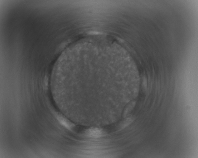 X0000081330668200702082204