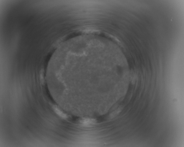 X0000081330670200702082204