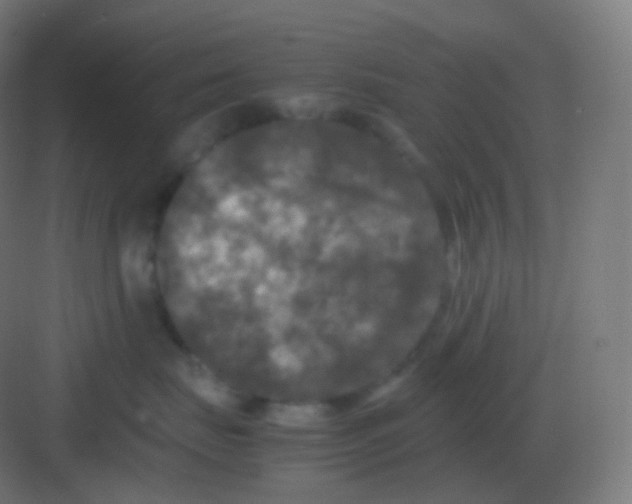 X0000081330671200702082204