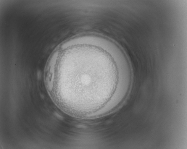 X0000081330672200702082204