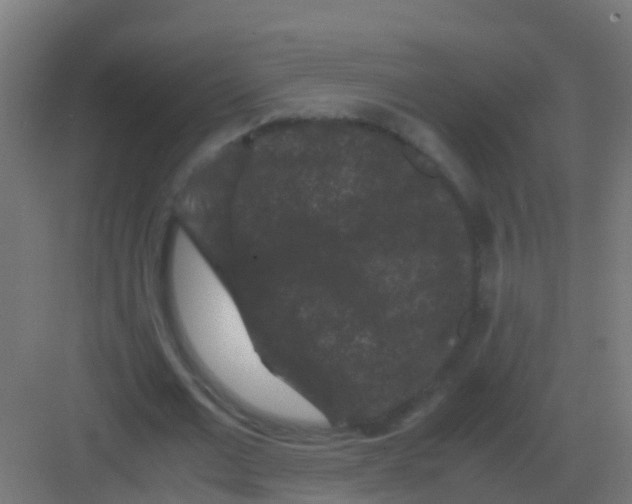 X0000081330677200702082203