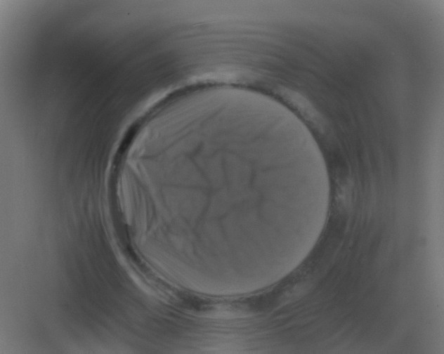 X0000081330678200702082203