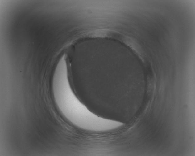 X0000081330681200702082203