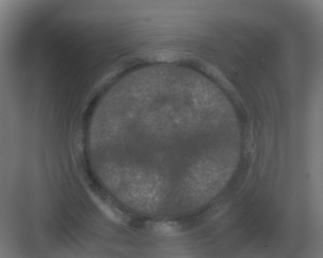 X0000081330683200702082203