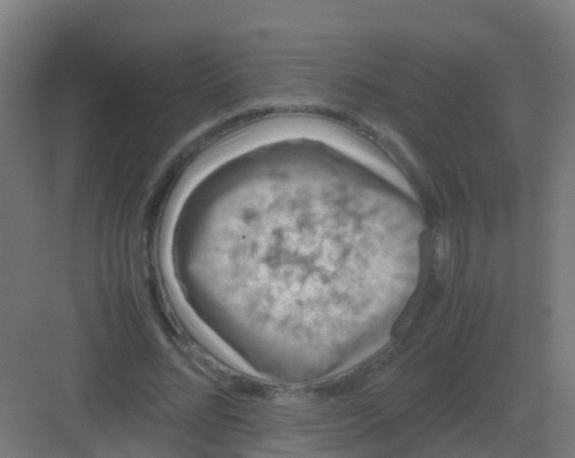 X0000081330684200702082203