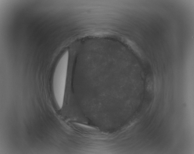 X0000081330685200702082203