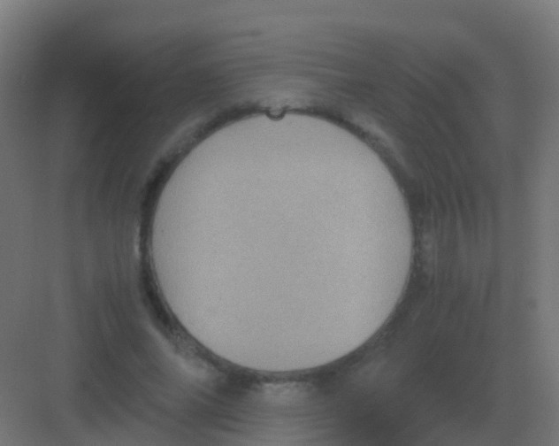 X0000081330686200702082203