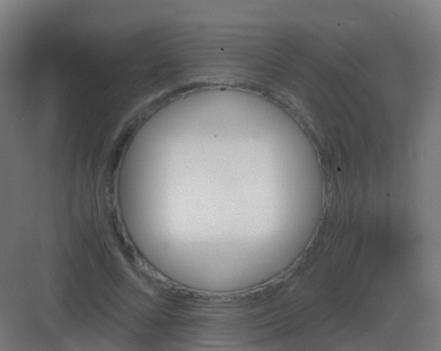 X0000081330688200702082203