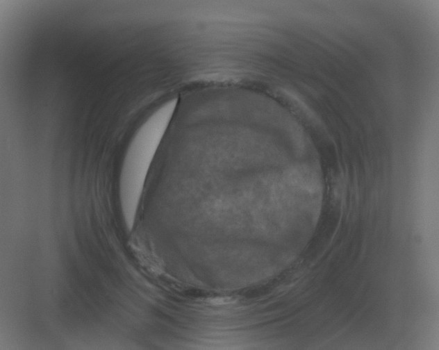 X0000081330692200702082202