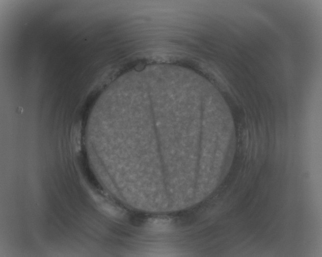 X0000081330694200702082202