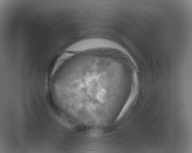 X0000081330696200702082202