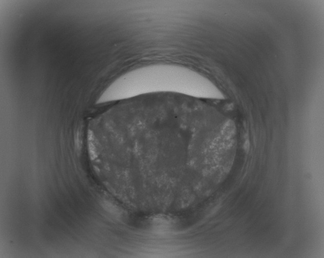 X0000081330697200702082202