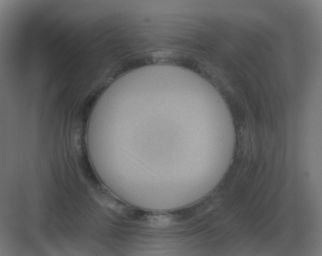 X0000081330698200702082202