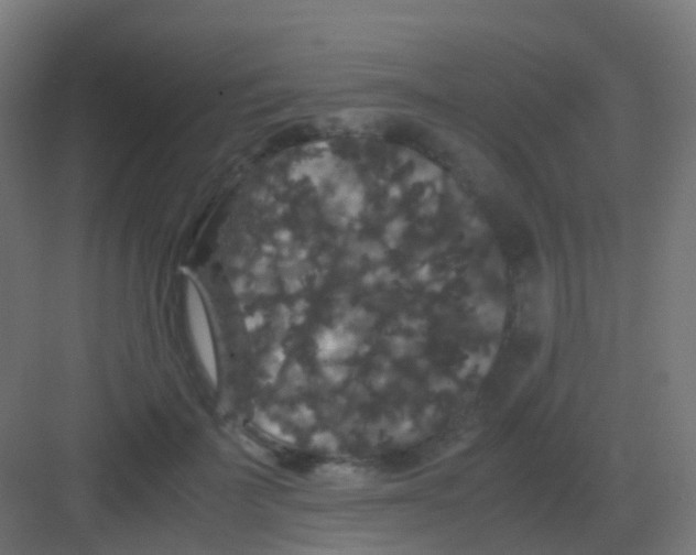 X0000081330699200702082202