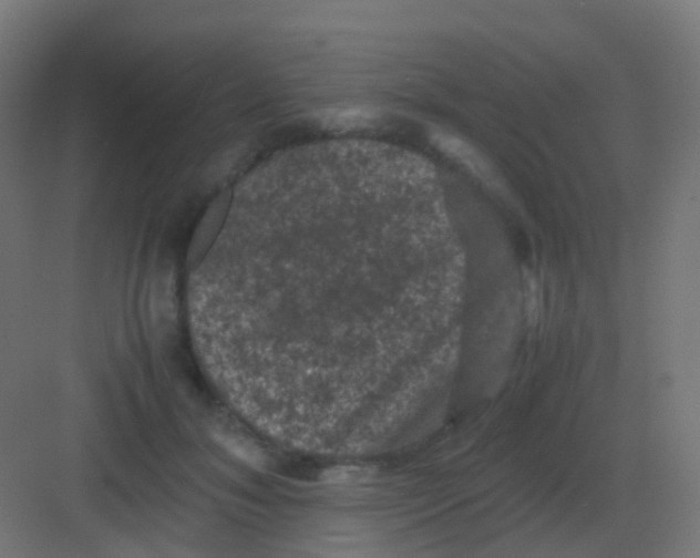 X0000081330700200702082202