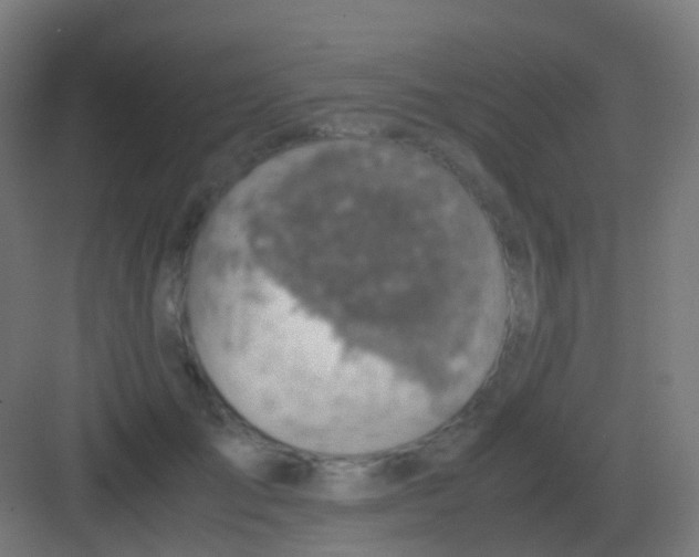 X0000081330701200702082202