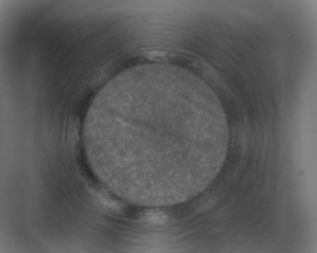 X0000081330702200702082202