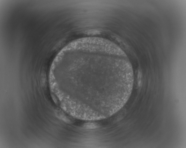 X0000081330704200702082202