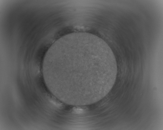 X0000081330706200702082202