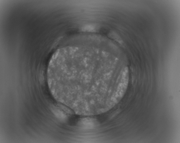 X0000081330708200702082202