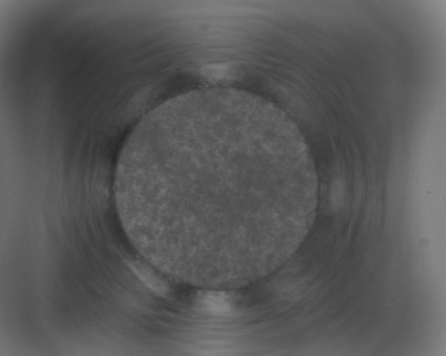 X0000081330710200702082202