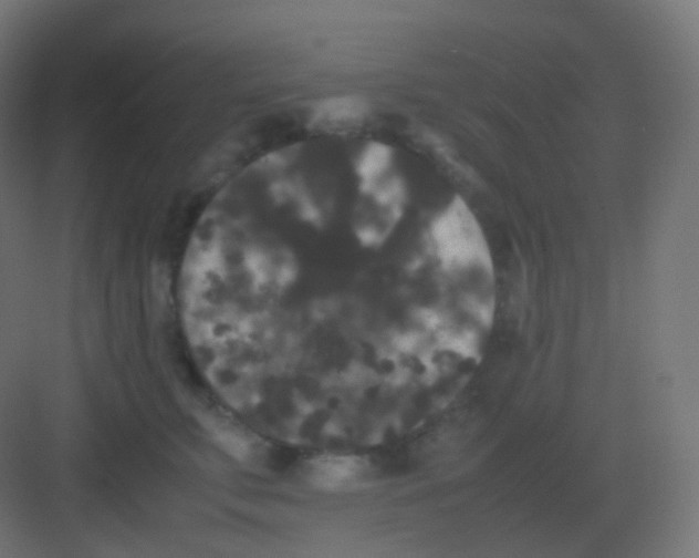 X0000081330711200702082202