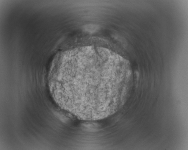 X0000081330712200702082202