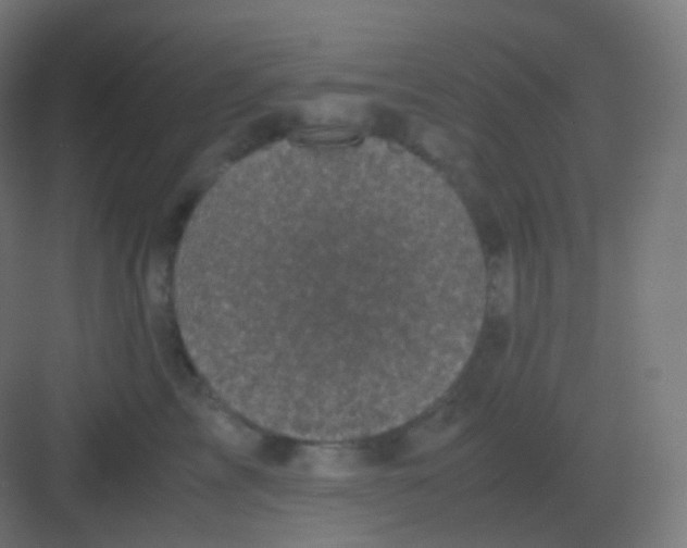 X0000081330713200702082202