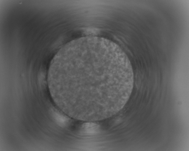 X0000081330714200702082202