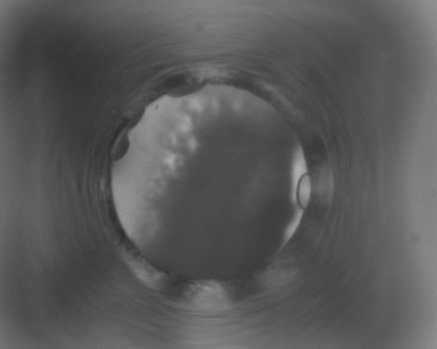 X0000081330715200702082202