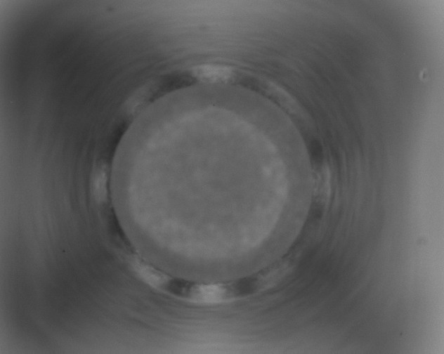 X0000081330717200702082202