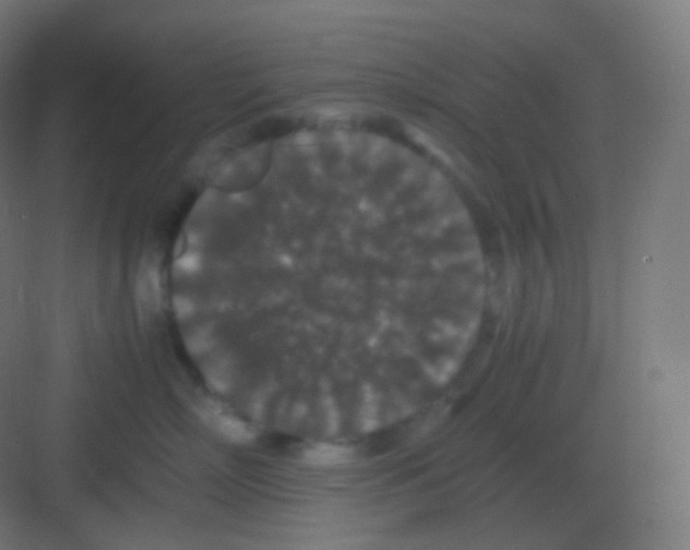 X0000081330718200702082202