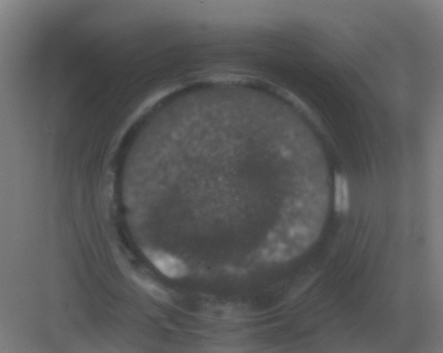 X0000081330723200702082201