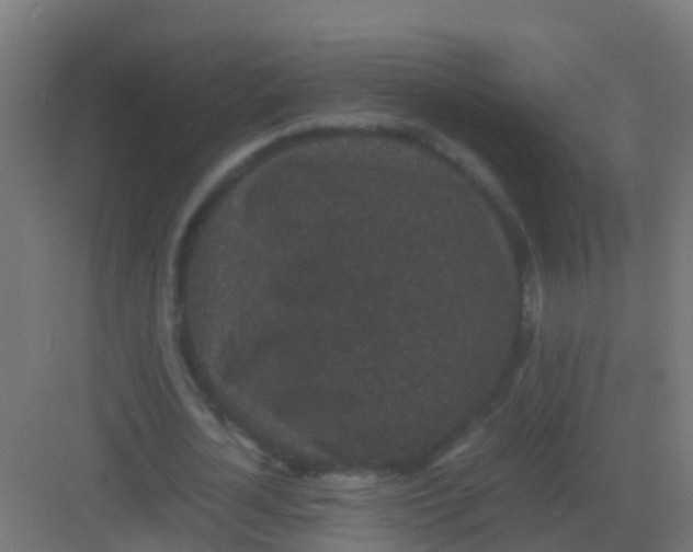 X0000081330724200702082201