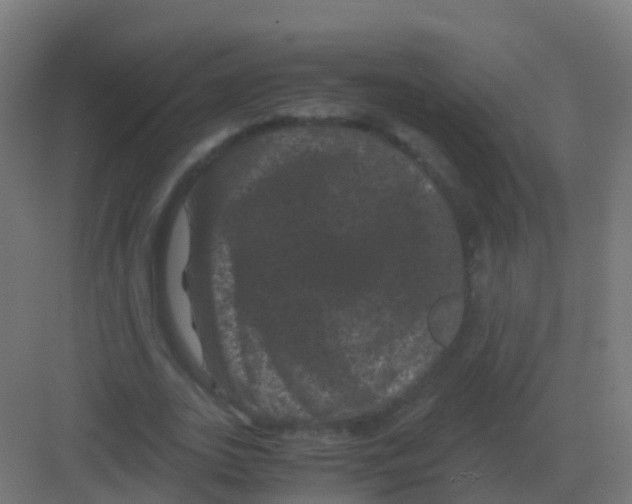 X0000081330727200702082201