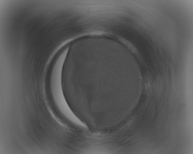 X0000081330728200702082201