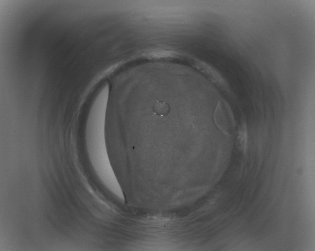 X0000081330732200702082201