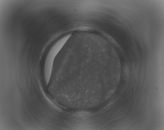 X0000081330734200702082201