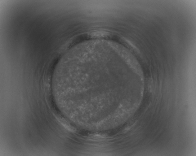 X0000081330737200702082201