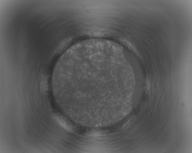 X0000081330738200702082201